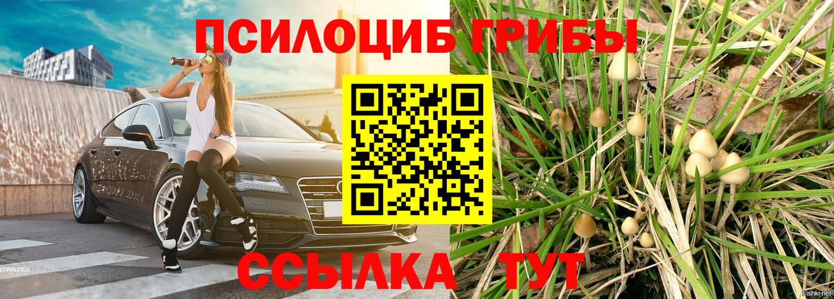 Галлюциногенные грибы MAGIC MUSHROOMS  купить наркотики сайты  Вход с VPN  Тулун  Галлюциногенные грибы мицелий 